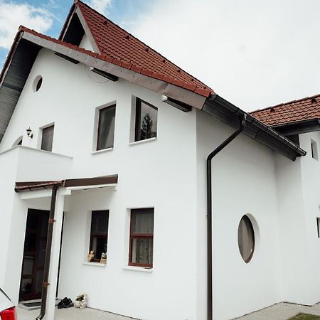 Autentic Adorabil Apartment Albestii Paminteni Bagian luar foto