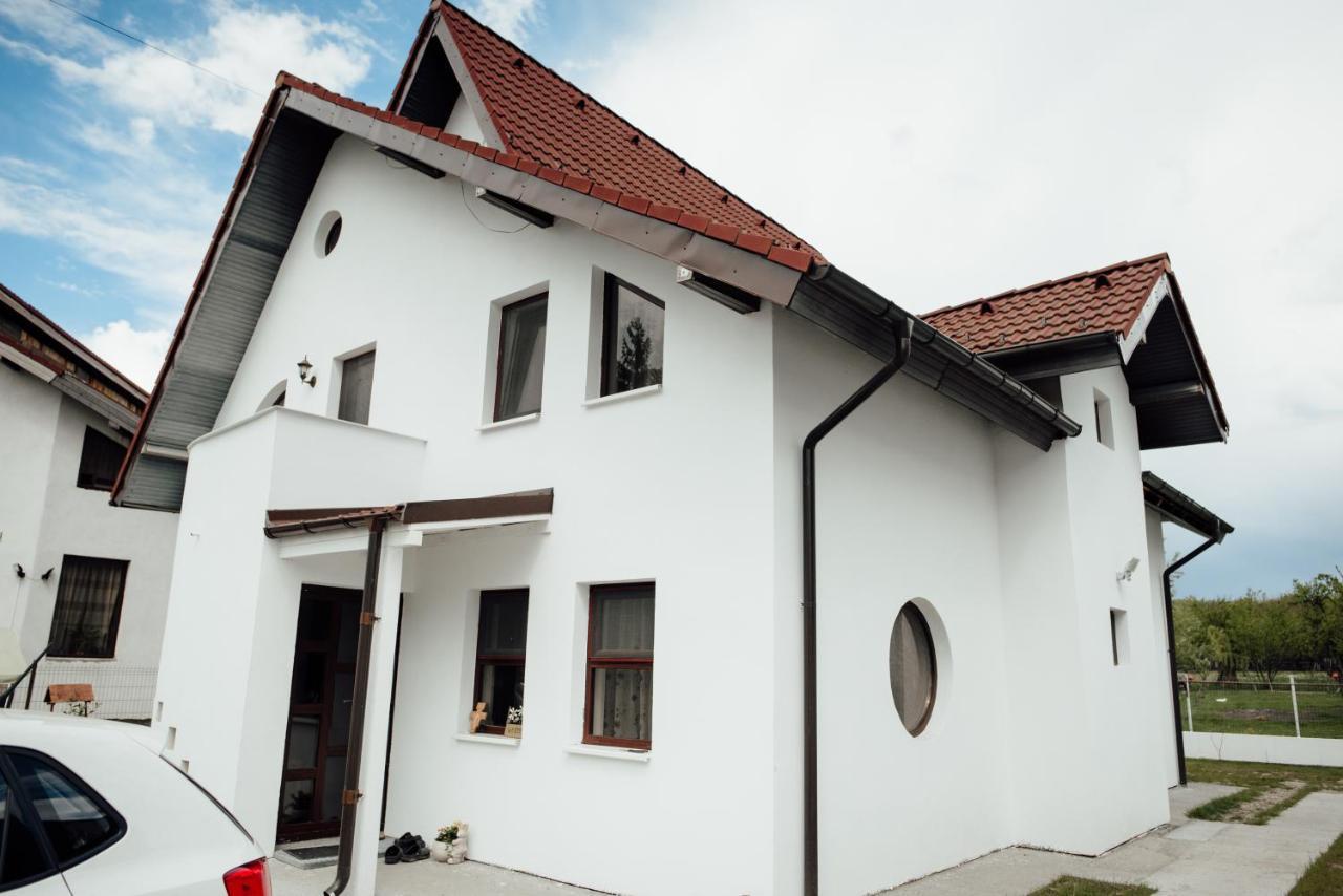 Autentic Adorabil Apartment Albestii Paminteni Bagian luar foto