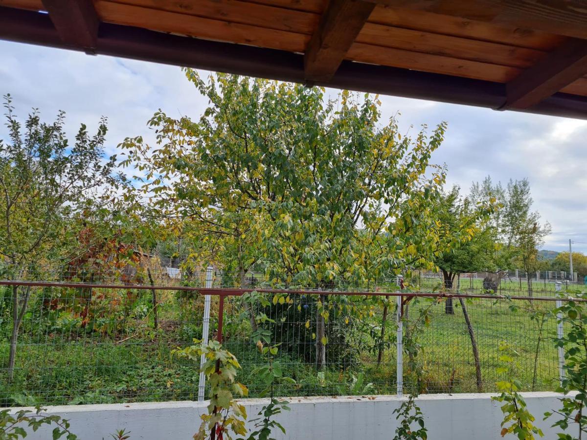 Autentic Adorabil Apartment Albestii Paminteni Bagian luar foto